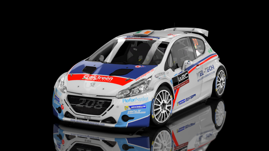 R5 Peugeot 208, skin 01