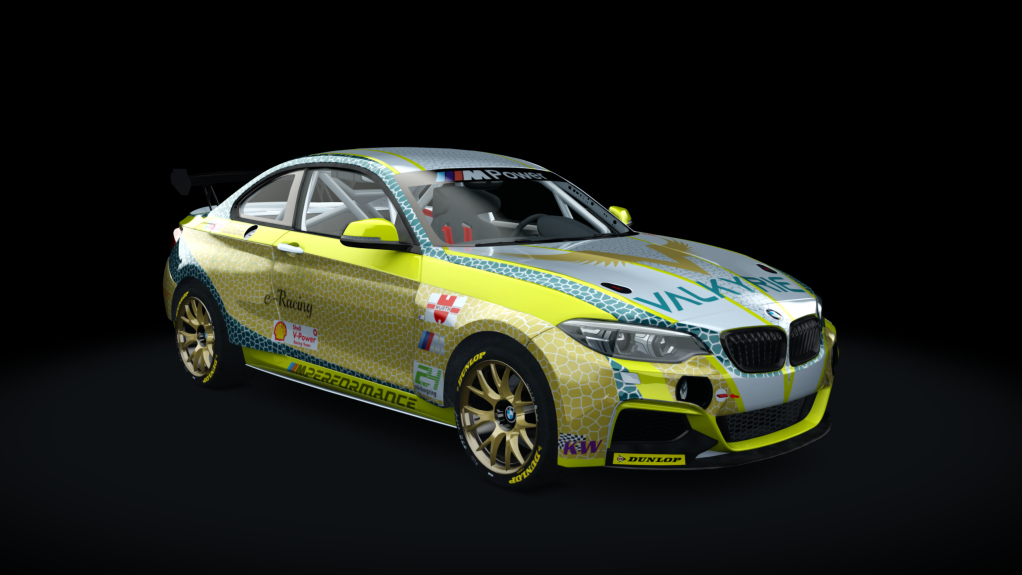 Cup - BMW M240i Cup 2022, skin NBR24_TEST_Cup2_#678