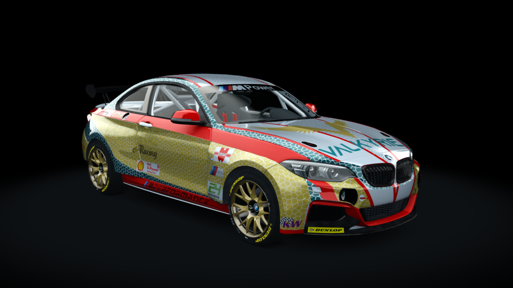 Cup - BMW M240i Cup 2022, skin NBR24_TEST_Cup2_#682