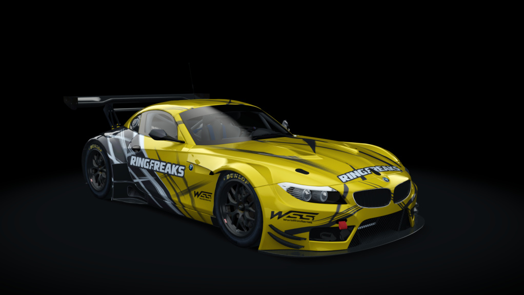 BMW Z4 GT3, skin ce05084c